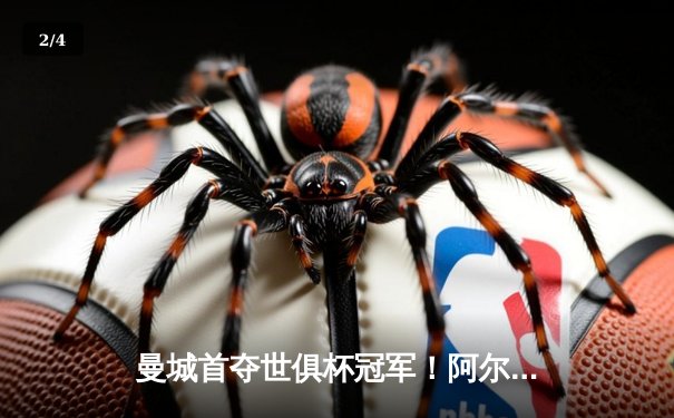 曼城首夺世俱杯冠军！阿尔瓦雷斯双响加冕历史首球 - 2